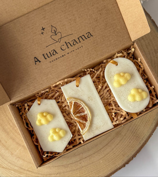 SCENT PACK AMBIENTADORES