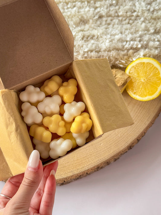 WAX MELT BRISA CÍTRICA