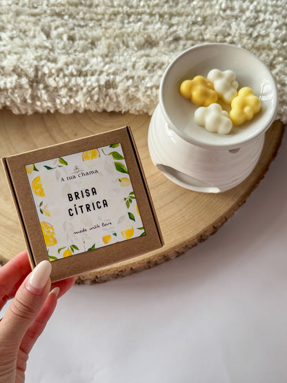 WAX MELT BRISA CÍTRICA