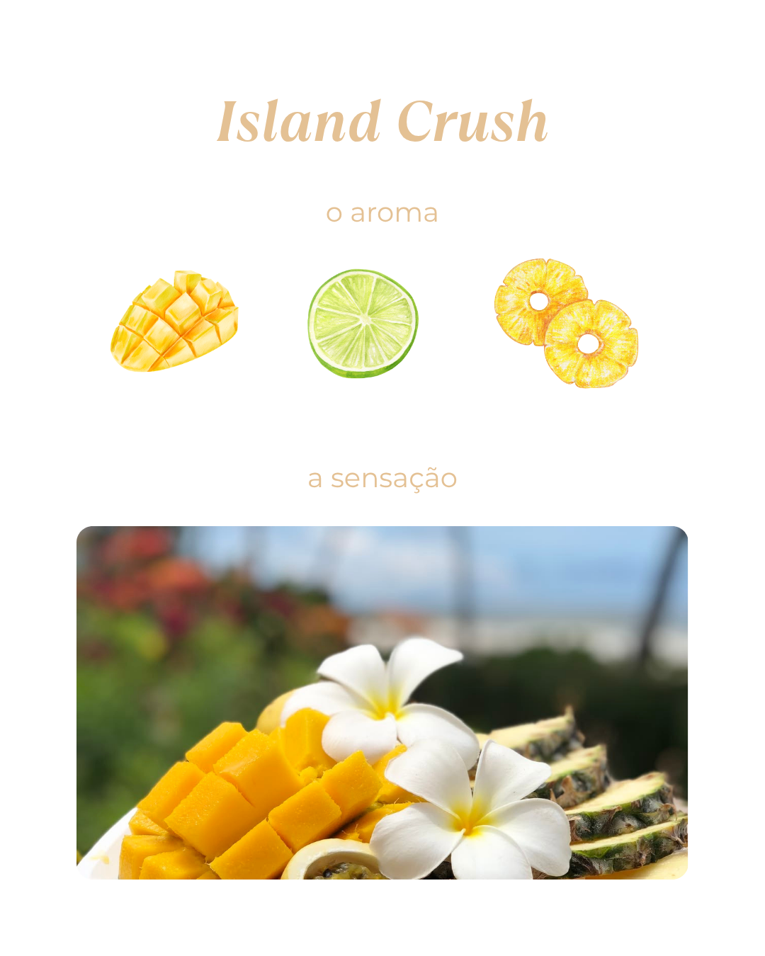 WAX MELT ISLAND CRUSH