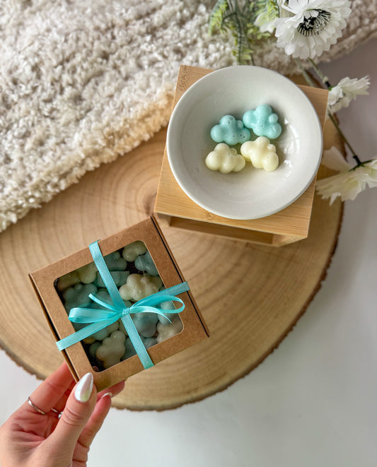 WAX MELTS WINTER CLOUDS