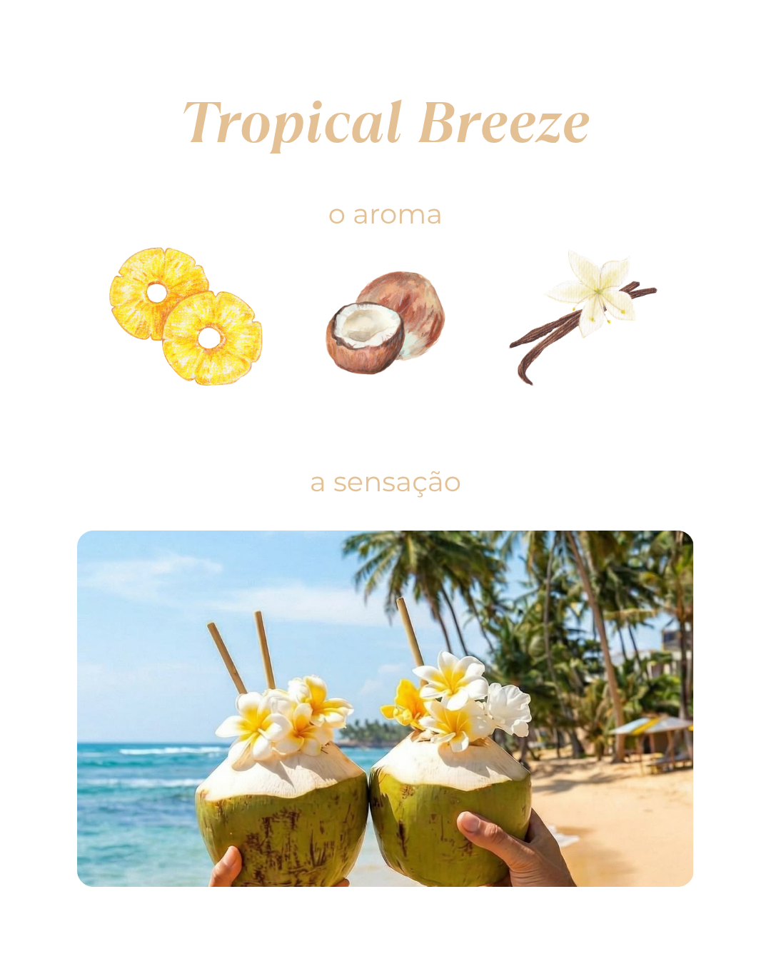 WAX MELT TROPICAL BREEZE