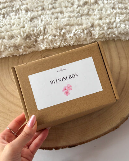 BLOOM BOX