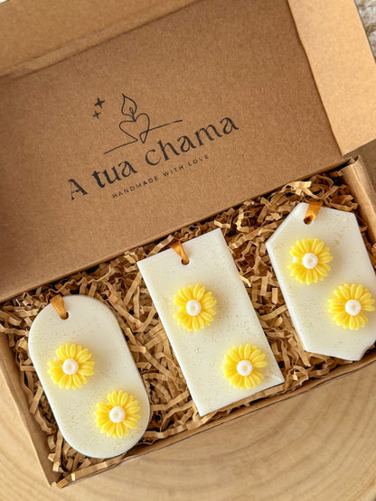 SCENT PACK AMBIENTADORES