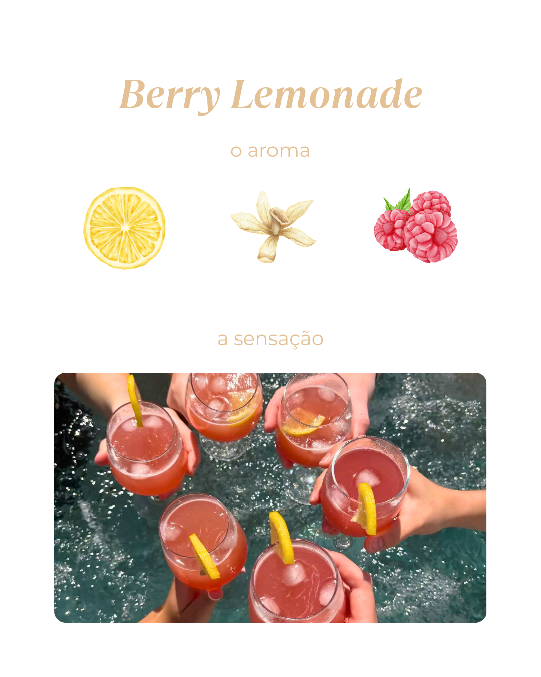 WAX MELT BERRY LEMONADE