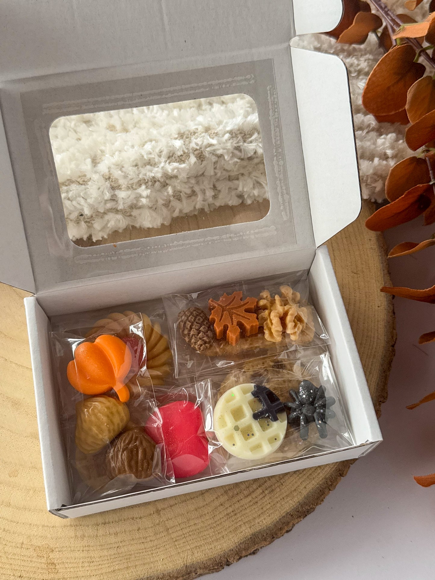 BOX DE OUTONO