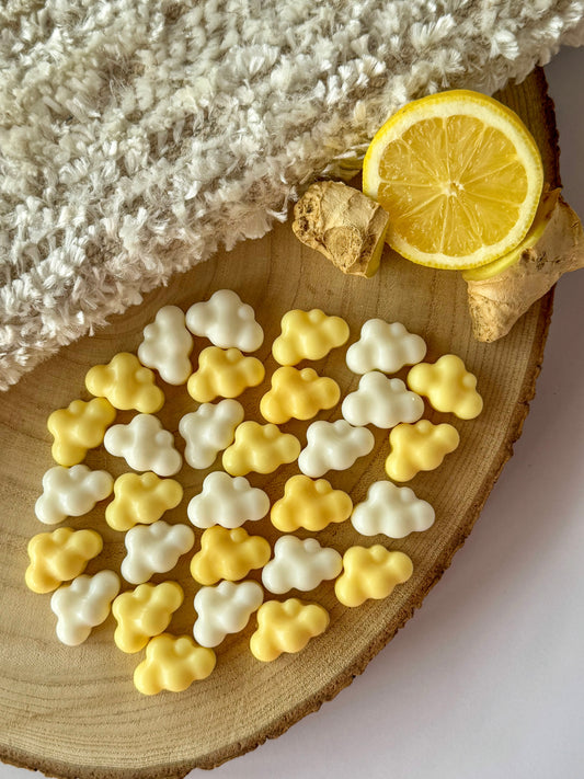 WAX MELT BRISA CÍTRICA