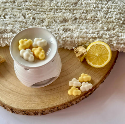 WAX MELT BRISA CÍTRICA