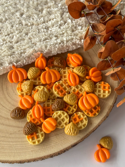 WAX MELT COZY AUTUMN