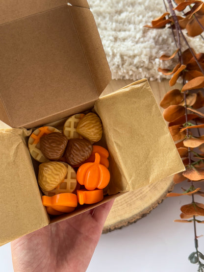 WAX MELT COZY AUTUMN